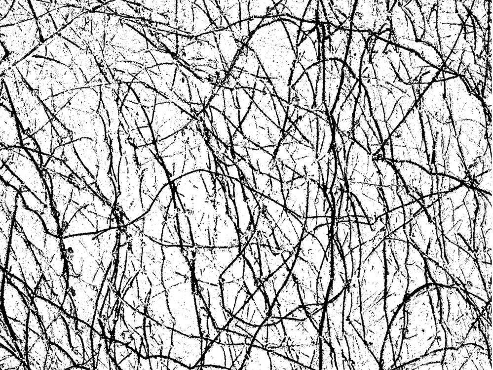 آشنایی کامل با عکاسی بافت + ایده