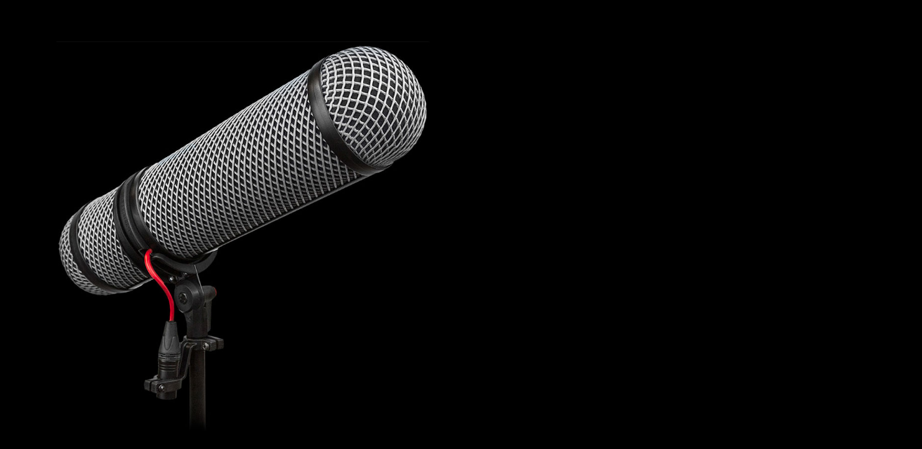 بررسی نکات مثبت و منفی بسکت Rode Blimp